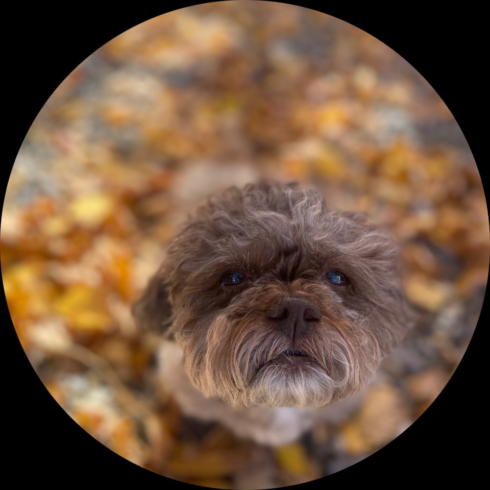 Meet your Posher, Carly